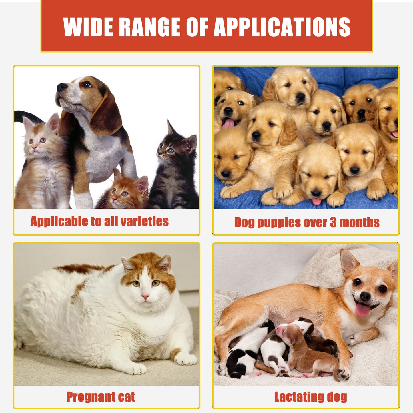 Pet Hemostatic Powder, Skin Wound Cleaning Styptic Powder For Cats And Dogs