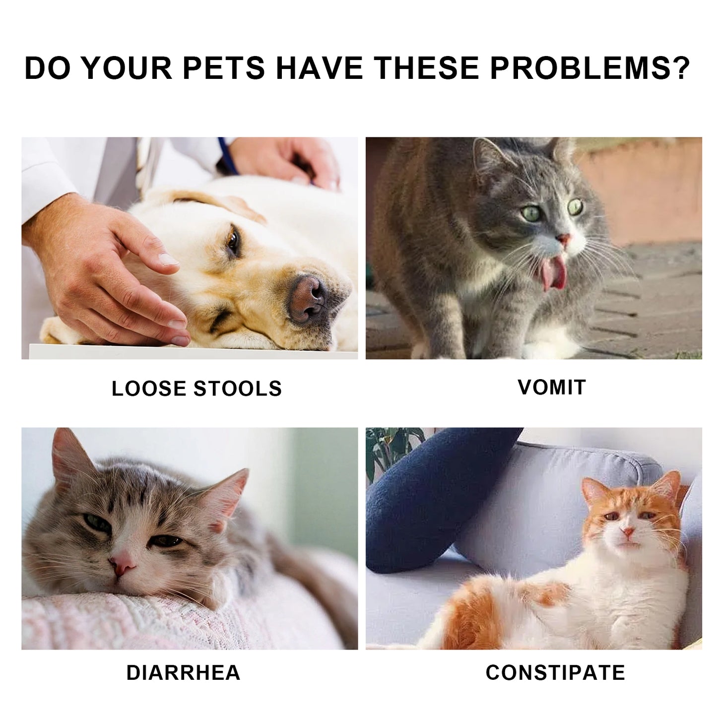 Special Nutritional And Immune Health Drops For Cats And Dogs