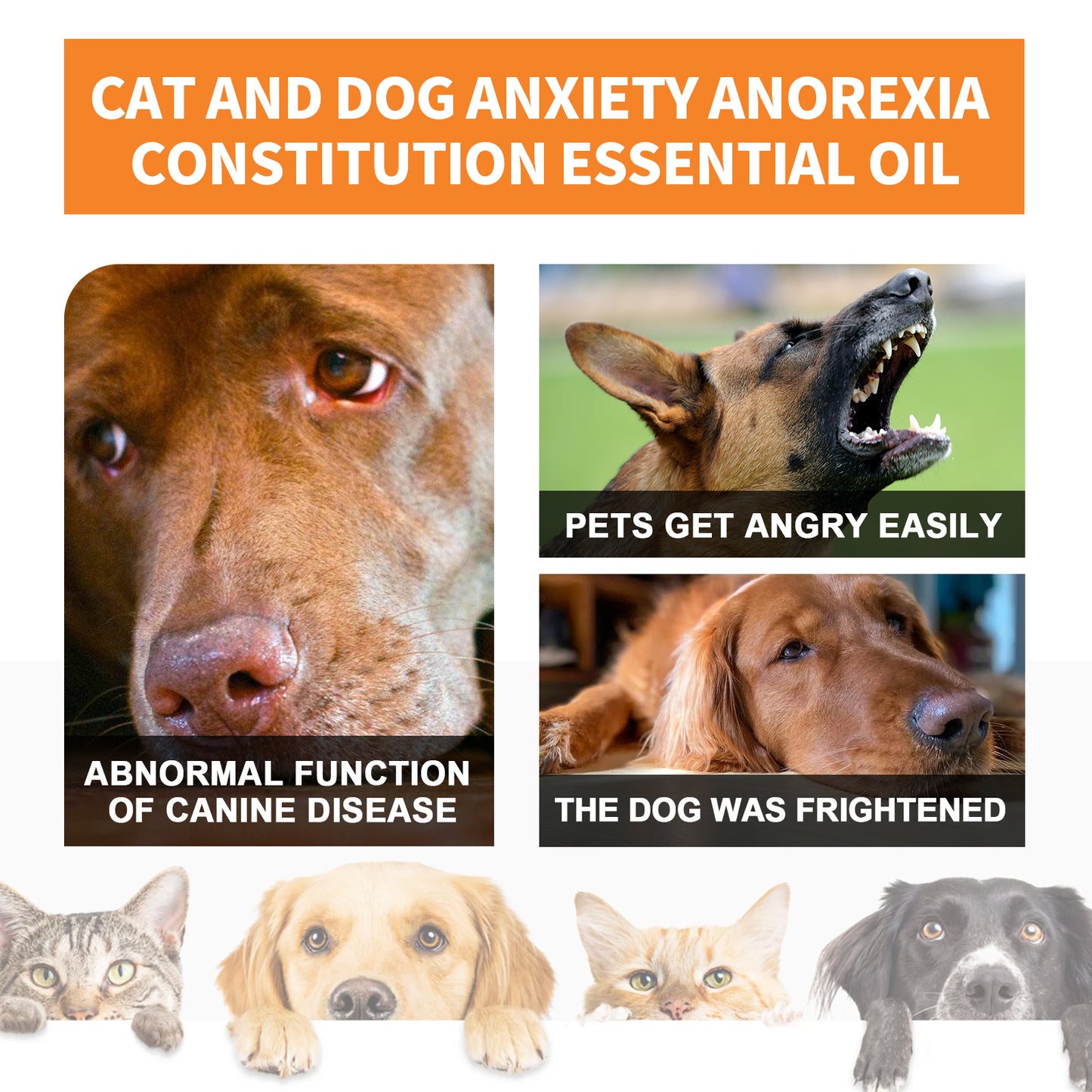 Pet Cat And Dog Enhance Health Eat Care Sesame Seed Oil Essence