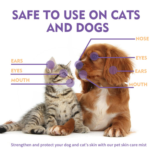 Pet Skin Relief Spray, Relieves Dog And Cat Skin Itchiness Eliminates