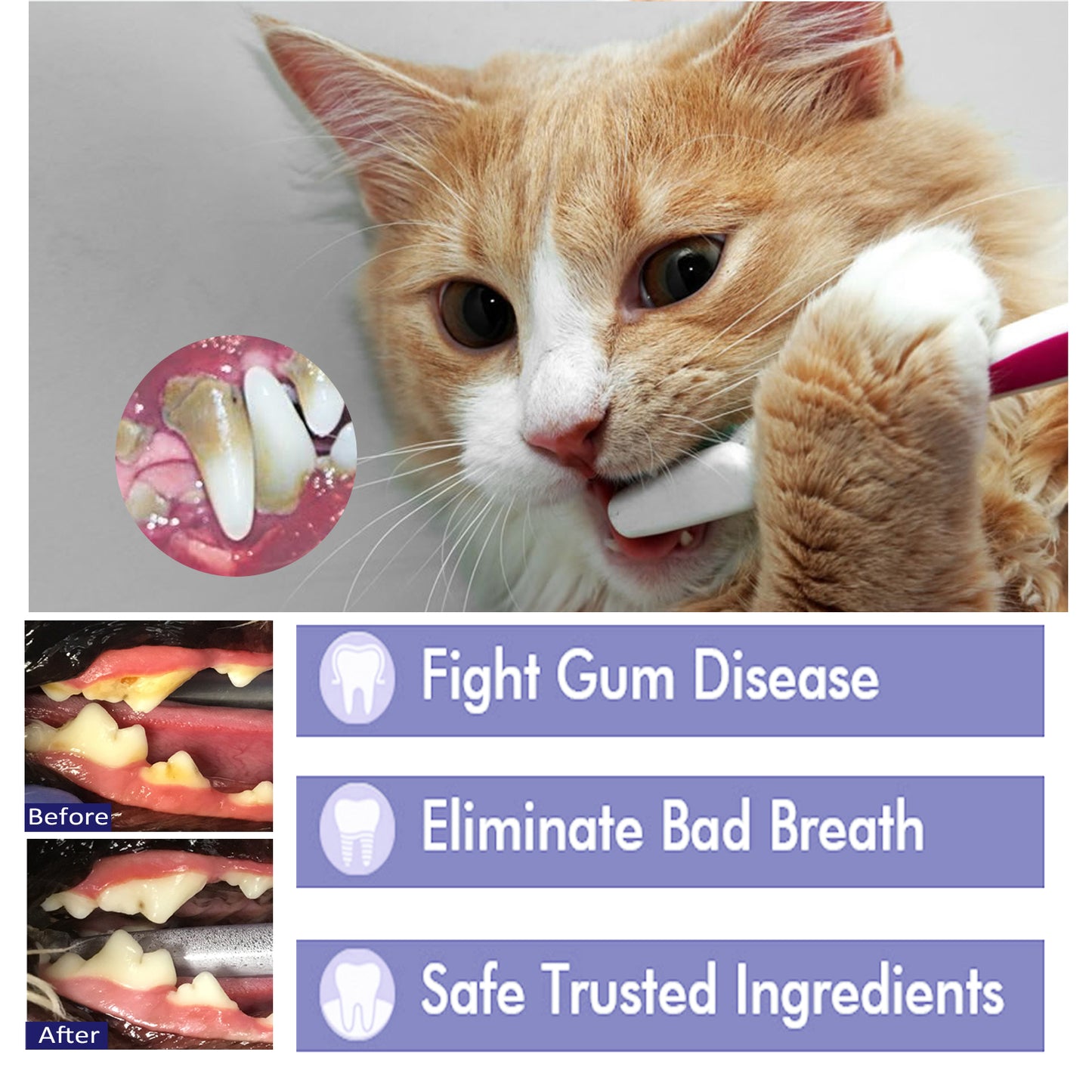 Pet Mouth Cleaning Cream