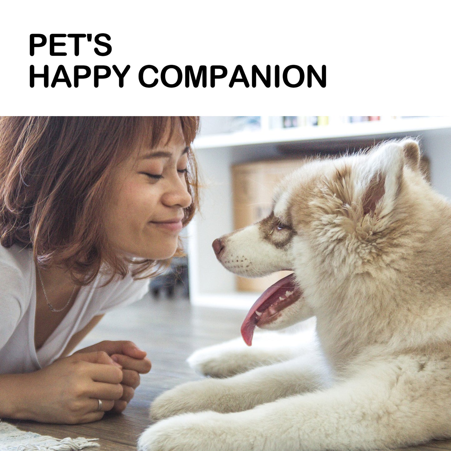 Pet Care Oil, Relieve The Pain Of Pet Bones And Joints
