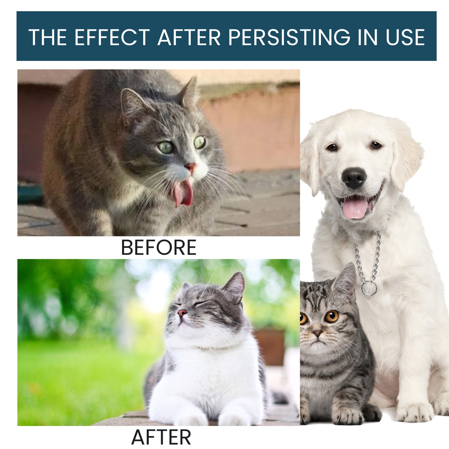 Special Nutritional And Immune Health Drops For Cats And Dogs