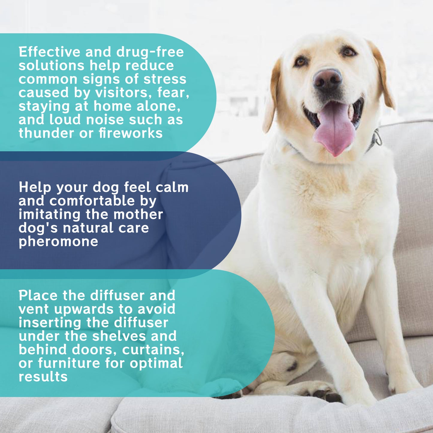 Pet Emotional Care Solution, Relieve Cats And Dogs Anxiety