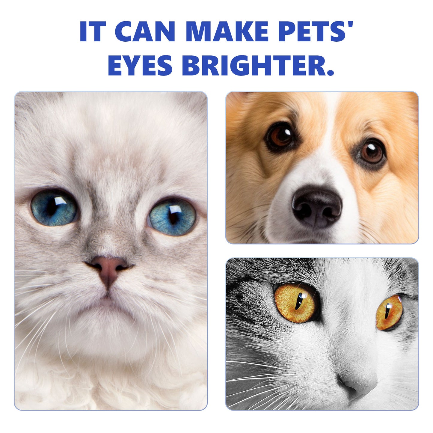 Pet Eye Drops Tear Stain Remover