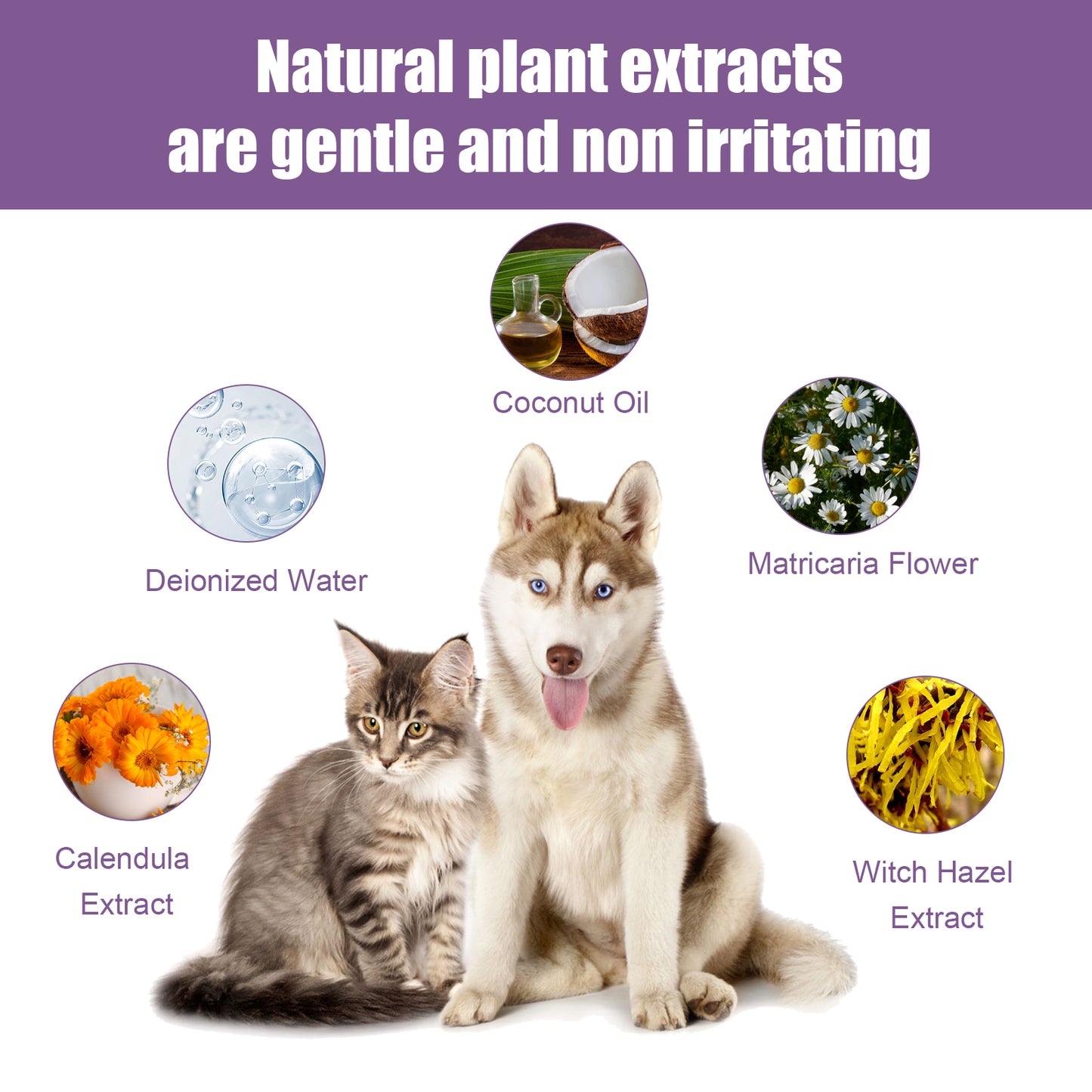 Pet Ear Cleaner, Cats And Dogs Relieves Ear Canal Odors Cleaning Earwax