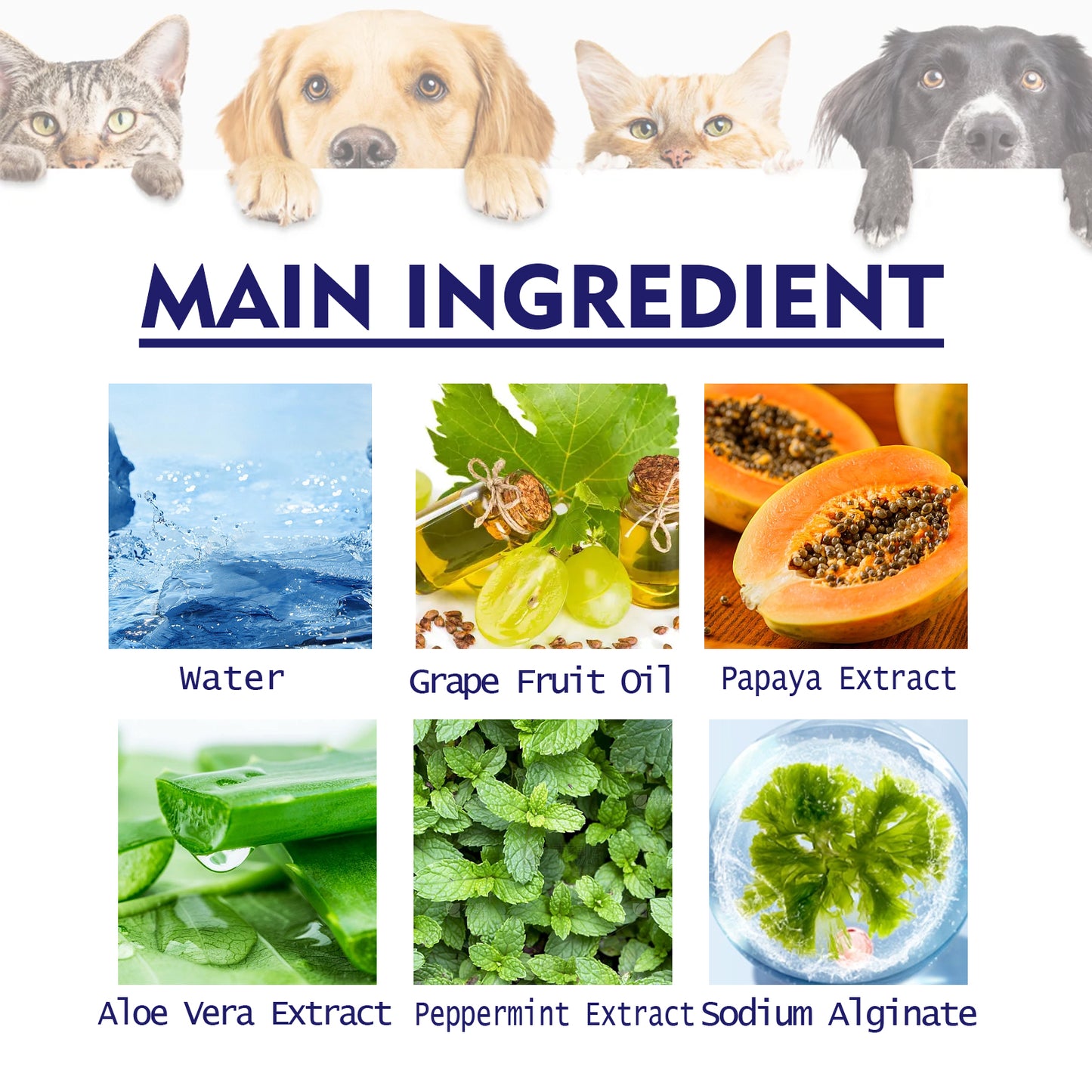 Pet Clean Bad Breath Tartar Care Gum Care Toothpaste
