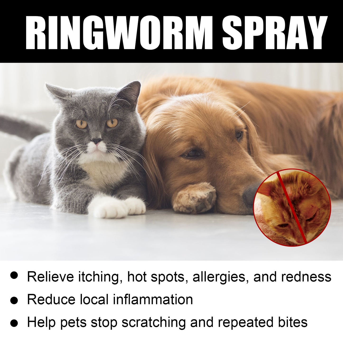Use Anti-Itch Spray, Pet Cats Anti-Mite Cat Moss Care Skin External
