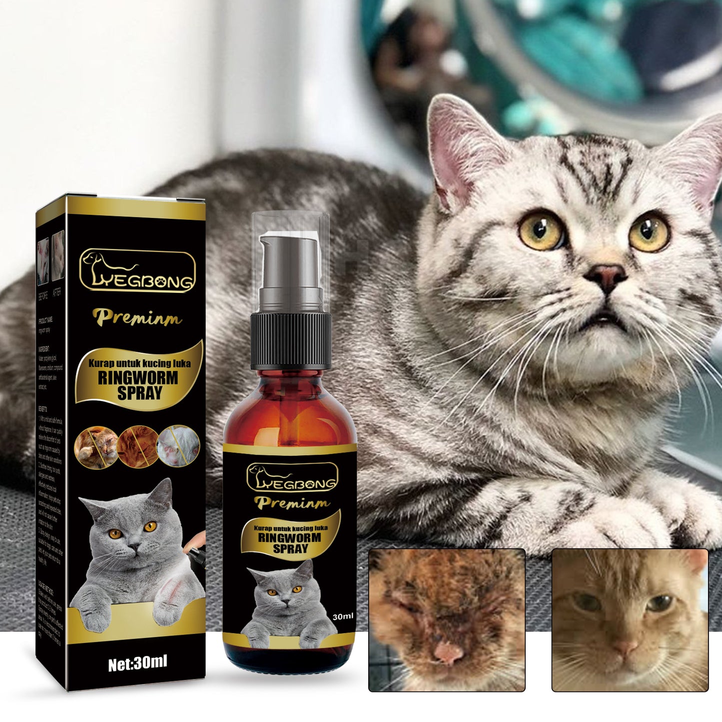 Use Anti-Itch Spray, Pet Cats Anti-Mite Cat Moss Care Skin External
