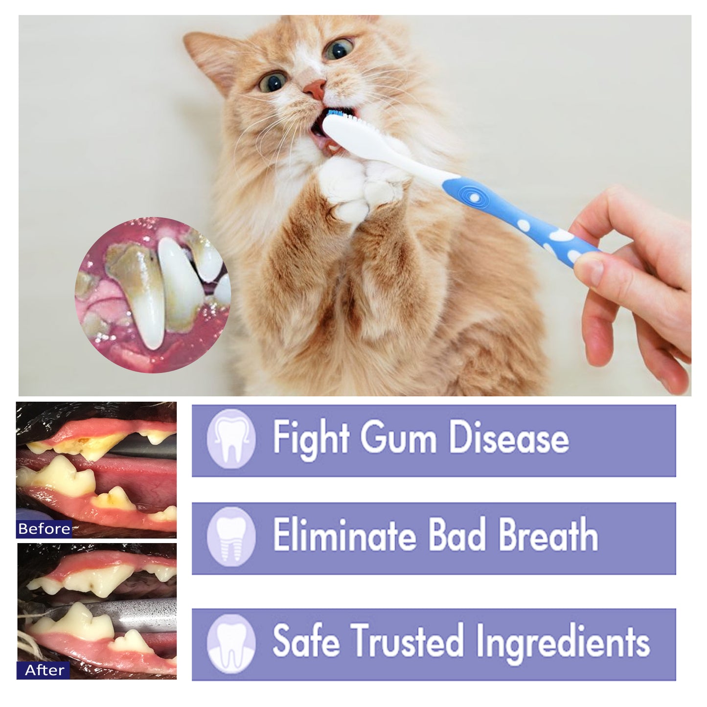 Pet Clean Bad Breath Tartar Care Gum Care Toothpaste