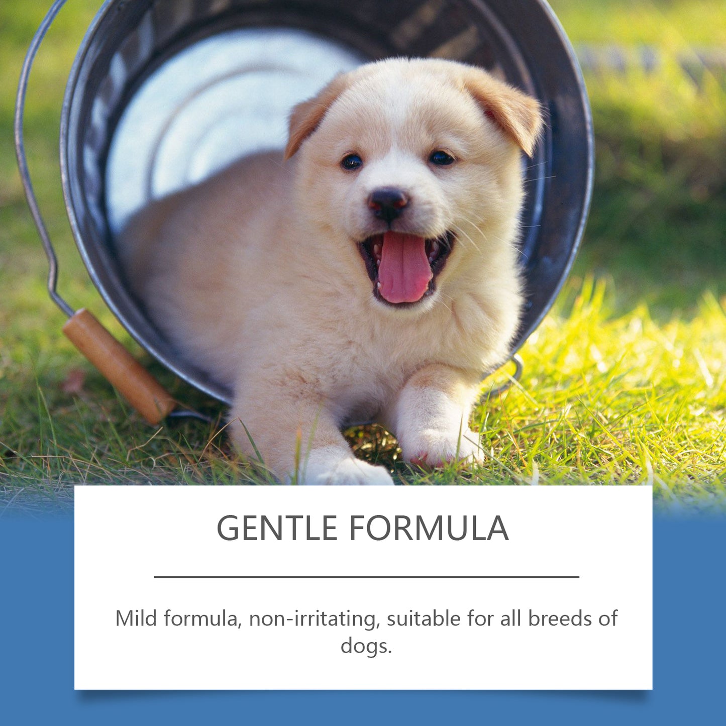 Pet Fur Care Spray Pet cat and dog fur gentle cleaning care