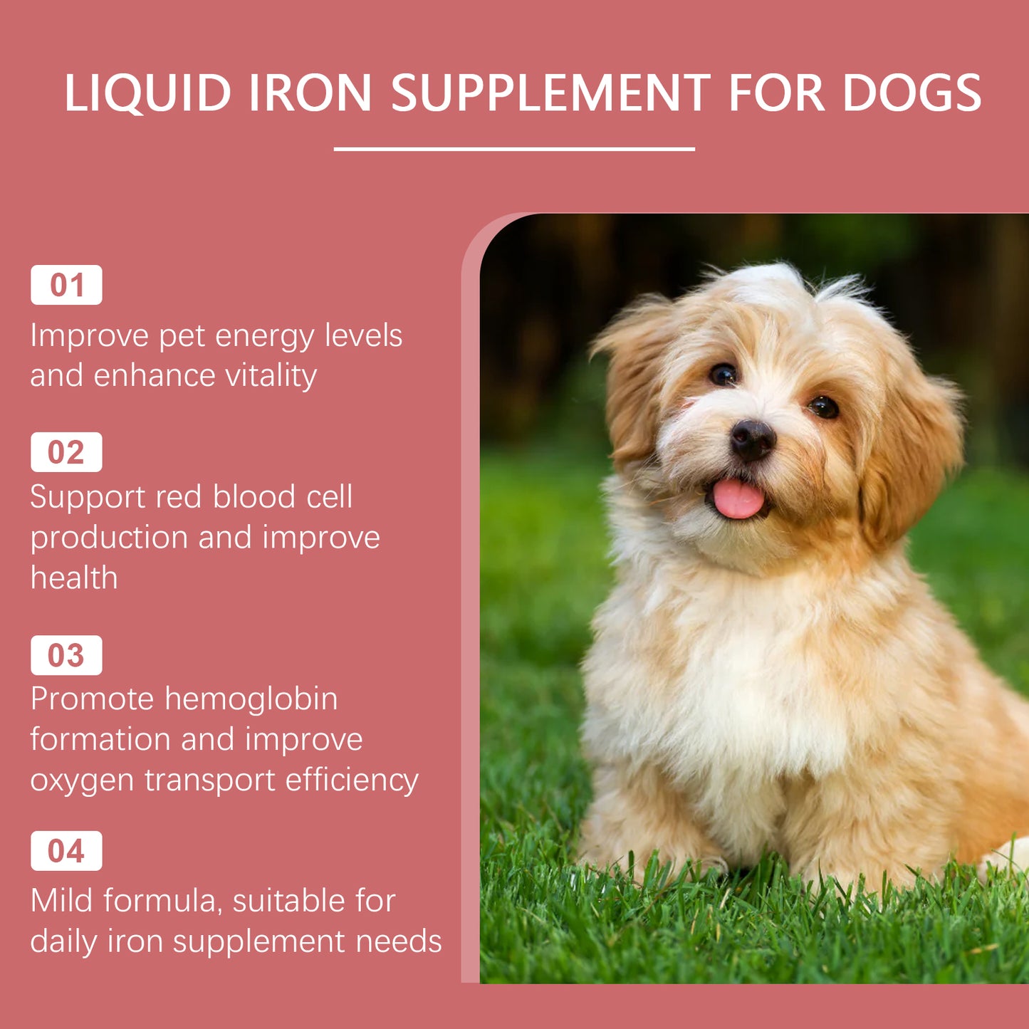 Pet Dog Syrup Pampers Pet Dogs With Gentle Ingredients To Help Absorb Care