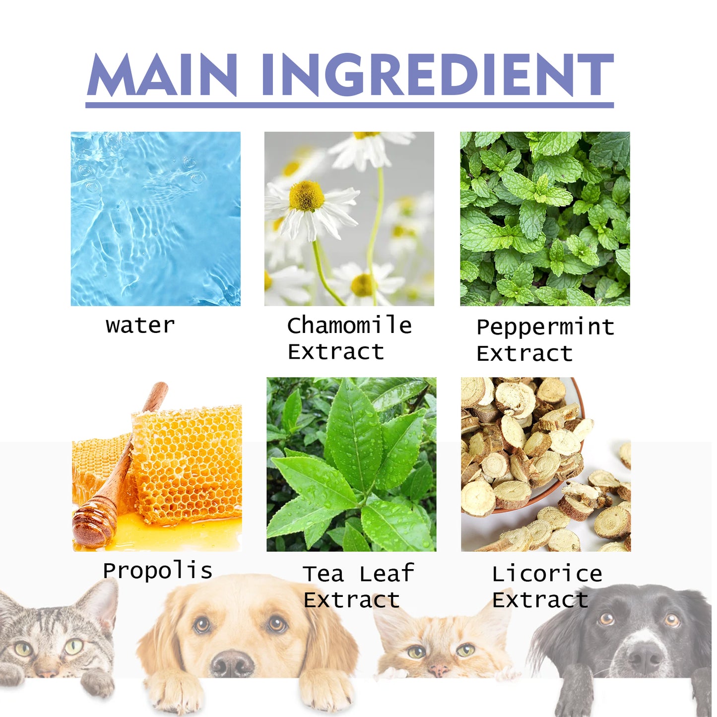 Dog And Cat Tooth Cleaning Spray