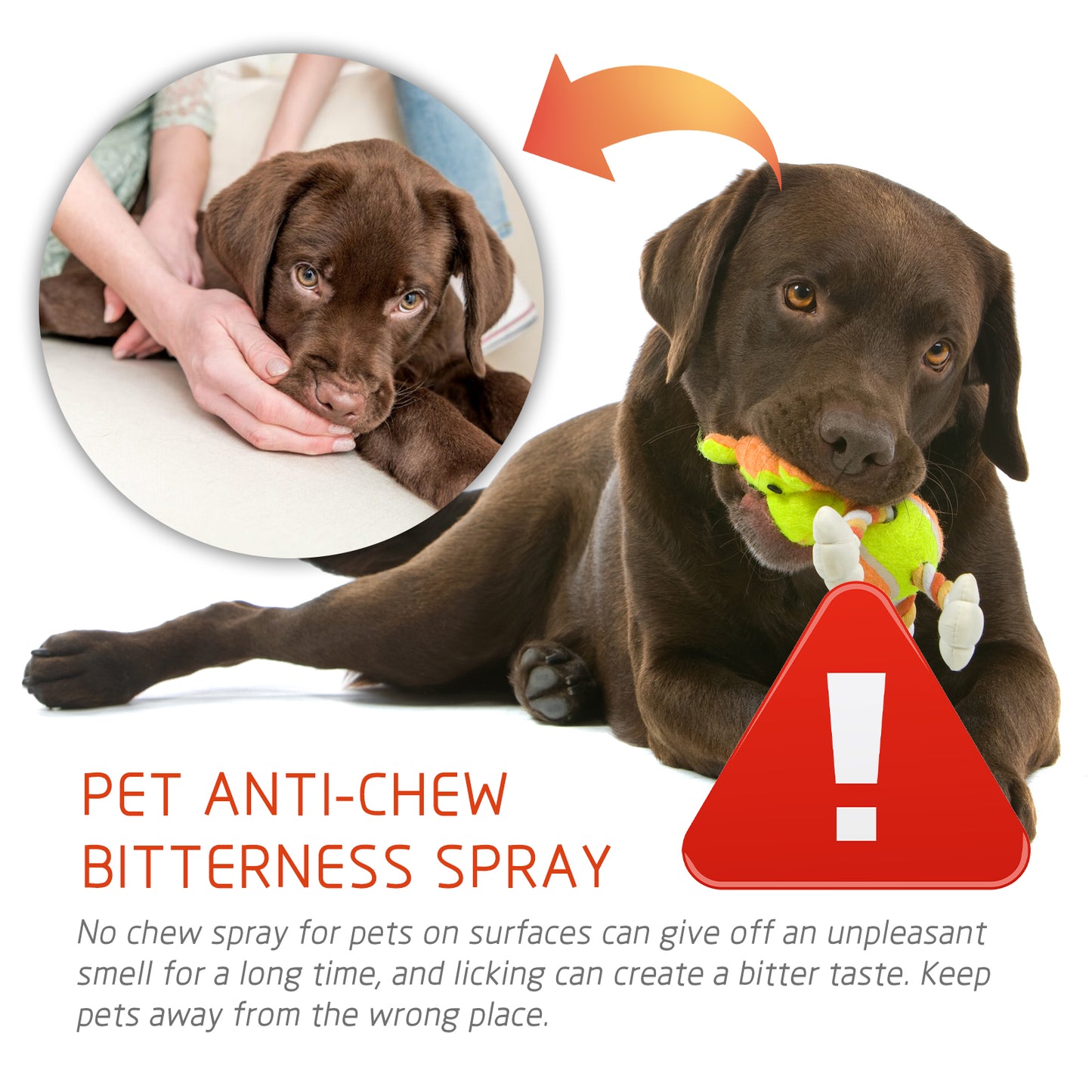 Pet Anti-Chew Spray Pet Behavior Modification Anti-Bite Scratching Spray