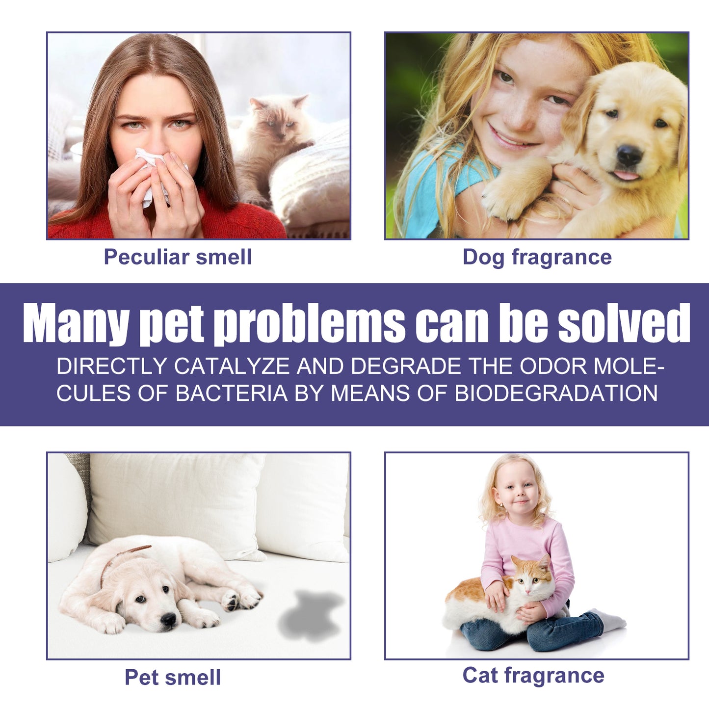 Dogs And Cats To Remove Urine Odor Body Odor Feces Smell Clean Air