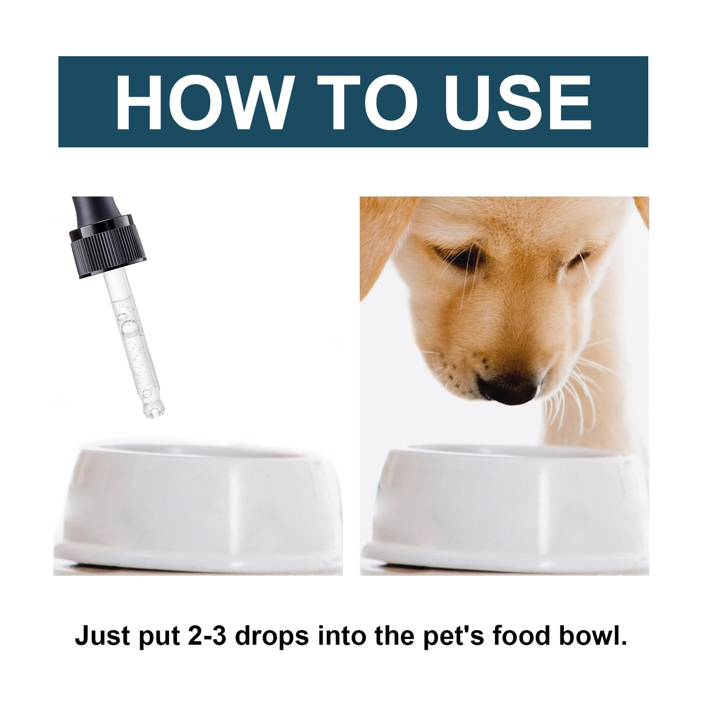 Special Nutritional And Immune Health Drops For Cats And Dogs