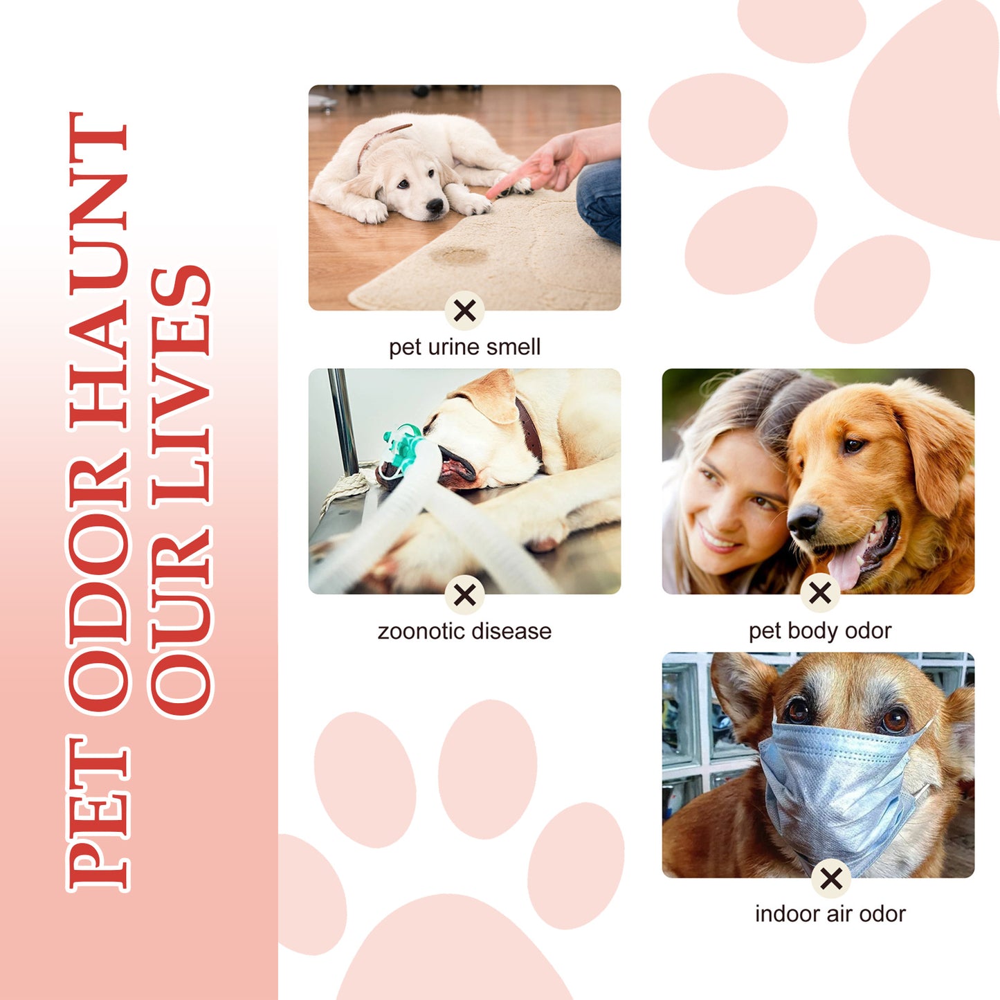 Indoor Cat And Dog Deodorizer Stay Fragrance Refreshing Spray
