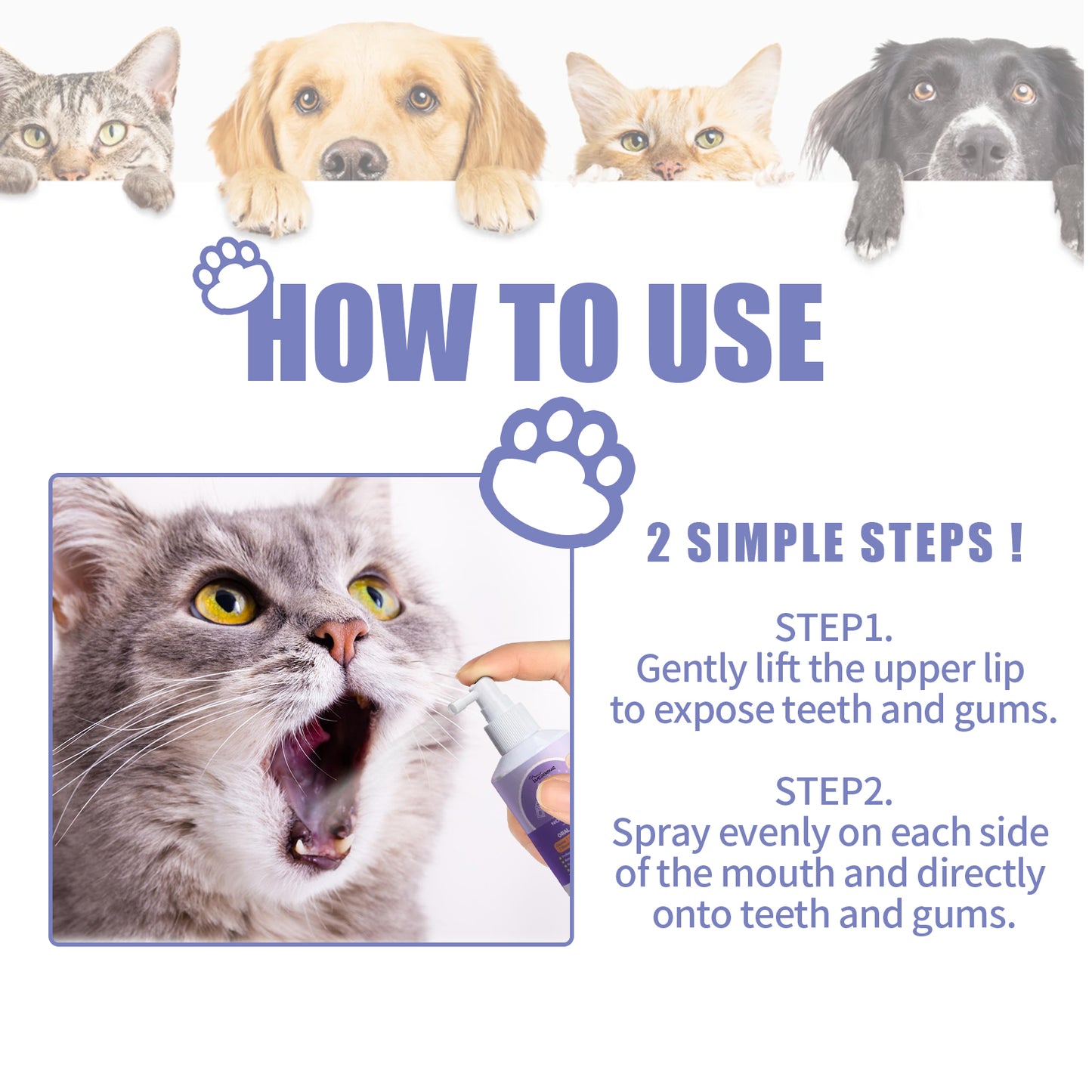 Dog And Cat Tooth Cleaning Spray