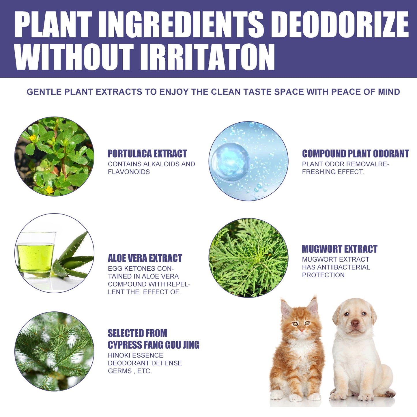 Dogs And Cats To Remove Urine Odor Body Odor Feces Smell Clean Air
