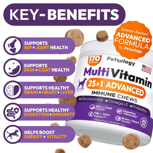 Dog Multivitamin Chewable Dog Vitamins And Supplements With Glucosamine 170 Chews Hip & Joint Pet Immune Support Skin