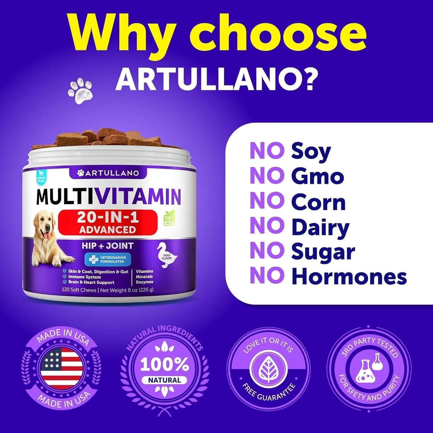 Dog Multivitamin Chewable With Glucosamine 20 In 1 Dog Vitamins And Supplements Senior