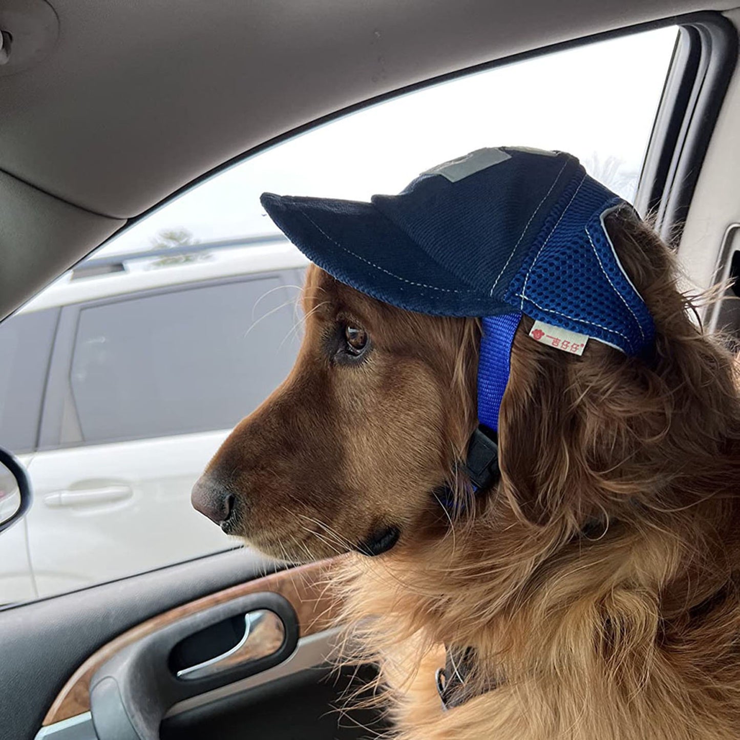 Sun Hat with G-Word Dog Design, Travel Sun Hat for Spring and Autumn