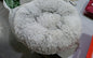 Pet Beds For Small Dogs and cats Round Plush