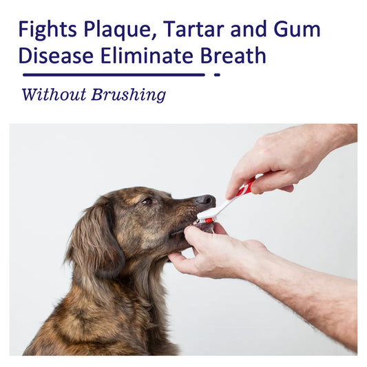 Pet Mouth Cleaning Cream