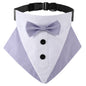 TANPOPO British style wedding suit dog