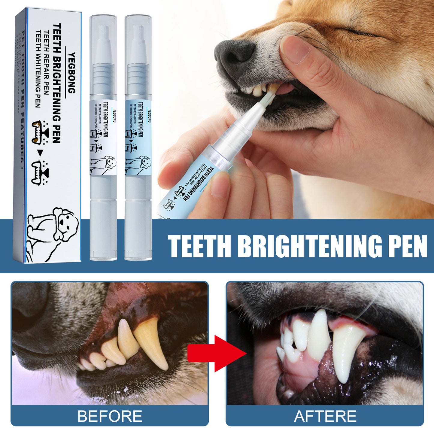 Pet teething pen, dog, cat, tartar, tartar cleaning tool