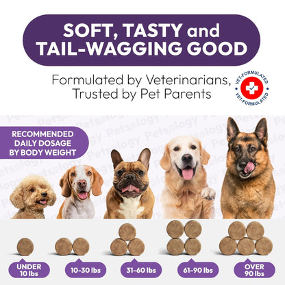 Dog Multivitamin Chewable Dog Vitamins And Supplements With Glucosamine 170 Chews Hip & Joint Pet Immune Support Skin