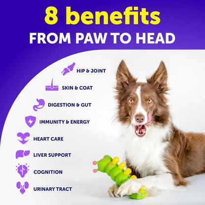 Dog Multivitamin Chewable With Glucosamine 20 In 1 Dog Vitamins And Supplements Senior
