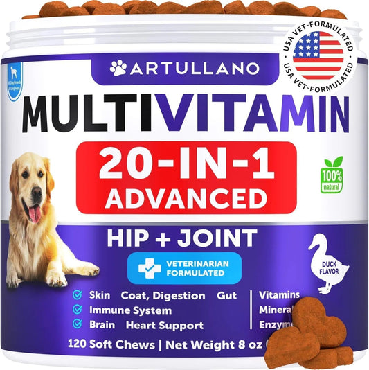 Dog Multivitamin Chewable With Glucosamine 20 In 1 Dog Vitamins And Supplements Senior